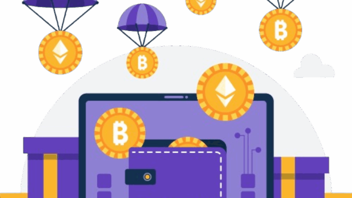 Wallet Address vs Transaction Hash: Bitcoin Identifier Guide